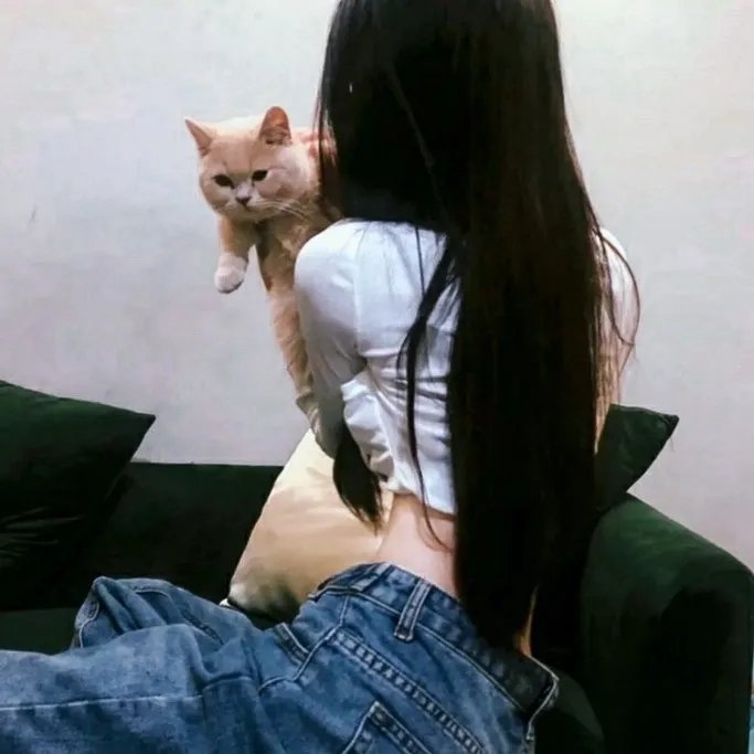 公牛在线观看